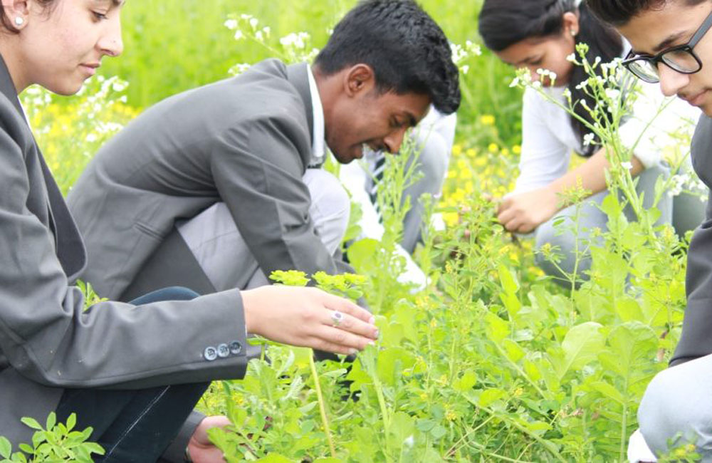 Agriculture and Allied Sciences - United University