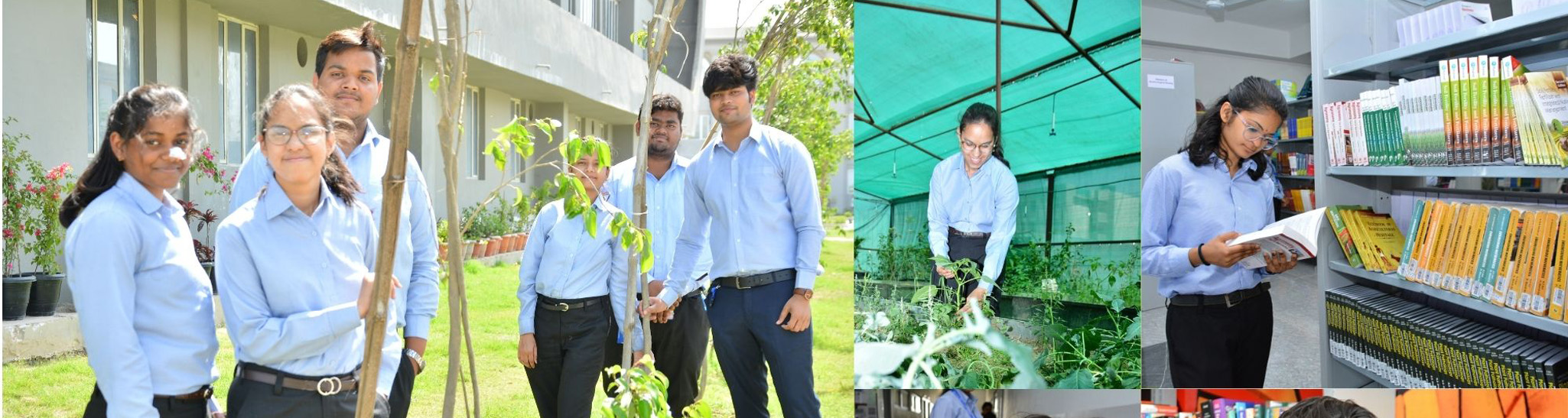 description-image : Faculty of Agriculture and Allied Sciences - United University