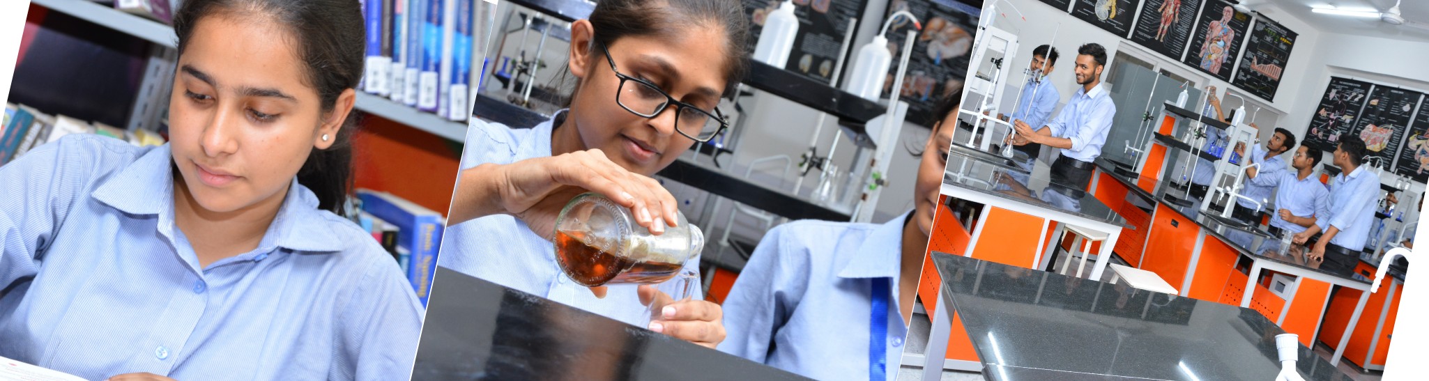 description-image : BSc (Hons) University in Allahabad, Uttar Pradesh | BSc Colleges